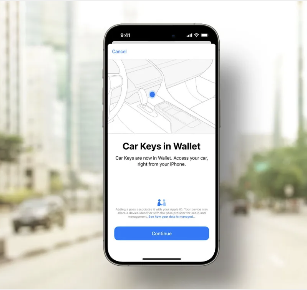 Chave da Tesla na Carteira - Apple